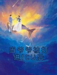 当爷爷被打进ICU后全章节免费试读 主角小峰李泽凯琪琪完结版