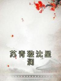 小说《苏青璇沈星澜》苏青璇沈星澜全文免费试读