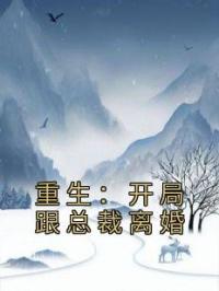 重生：开局跟总裁离婚(温言时慕白李逸)全文完结在线阅读完整版