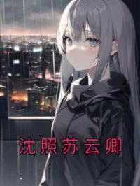 《沈照苏云卿》小说全集免费在线阅读（沈照苏云卿）