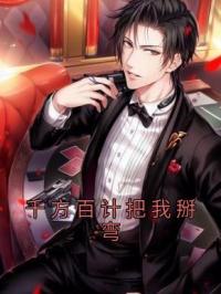 《千方百计把我掰弯》小说全文精彩章节在线阅读（沈简承陈泽）