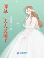沈嘉念傅寄忱小说大结局在线阅读 《傅总，夫人又闹了》小说免费试读
