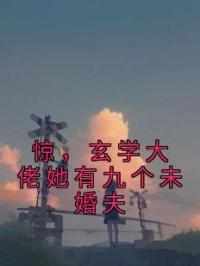 《惊，玄学大佬她有九个未婚夫》陆灵溪顾沉渊小说全文免费试读