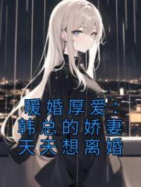 暖婚厚爱：韩总的娇妻天天想离婚唐雪韩宴琛小说精彩章节在线阅读