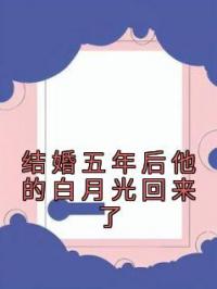 结婚五年后他的白月光回来了许佳栩傅寒鄞全本大结局阅读