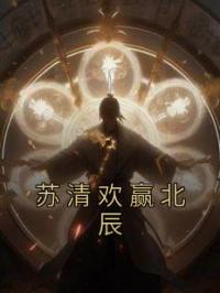 苏清欢赢北辰苏清欢赢北辰小说_苏清欢赢北辰小说章节