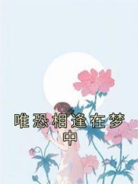 唯恐相逢在梦中宋鸢沈舟齐全本大结局阅读