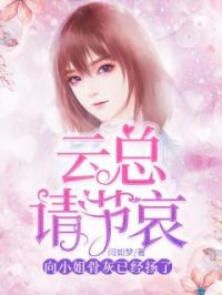 云总请节哀，向小姐的骨灰已经扬了by向晚云琰完整版 向晚云琰小说全集在线阅读
