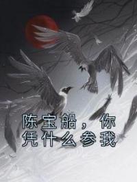 《陈宝船，你凭什么参我》顾晨陈宝船全文阅读