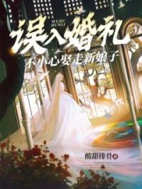张婉君堂姐小说章节目录 误入婚礼不小心娶走新娘子全文阅读