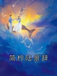 简柠陆景辞小说叫什么_简柠陆景辞小说