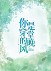 你是穿堂的晚风于政南陆晚风小说全本在线阅读