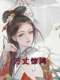 《万丈惊鸿》小说全文精彩章节在线阅读（林婉晴朱景琛）