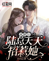《离婚后陆总天天招惹她》小说全文精彩章节在线阅读（宋知夏陆瑾年）