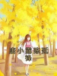 《唐小露陈延锋》唐小露陈延锋小说精彩内容在线阅读
